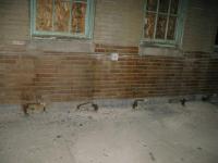 Chicago Ghost Hunters Group investigate Manteno State Hospital (109).JPG